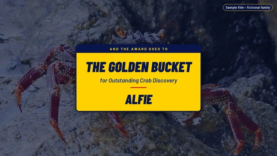 Yellow membership-card award over the crab on the rocks: And the award goes to, The Golden Bucket for Outstanding Crab Discovery, Alfie